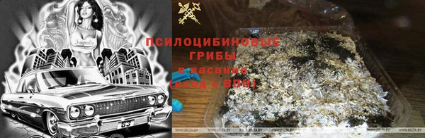 наркотики Арсеньев